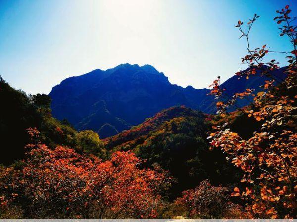 白银坨风景区天气预报(白银坨风景区门票优惠政策)