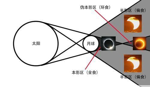 金环日食什么意思(金环日食的光学原理是什么)