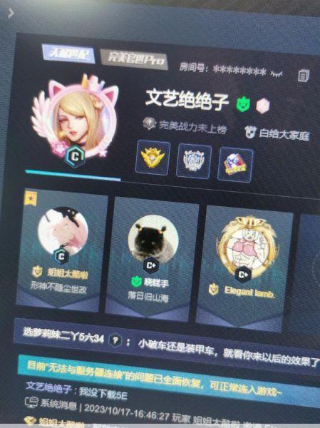 CSGO“暴躁妹妹”与LOGO：风格迥异，却同样吸睛