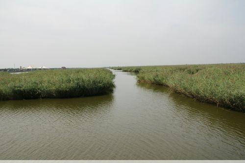 七里海国家湿地公园七里海湿地公园