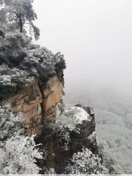 五华山事件五华山事件后的命运