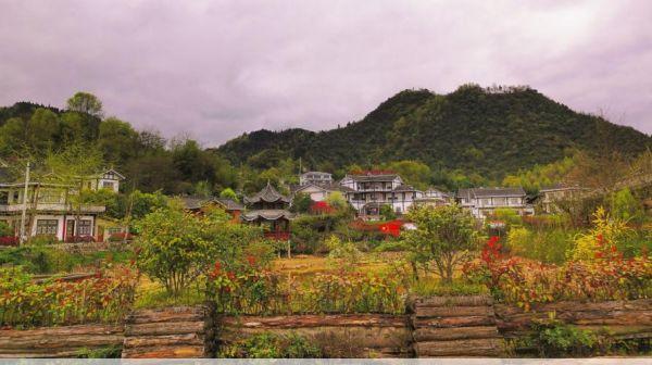 八角山黔北湄潭八角山