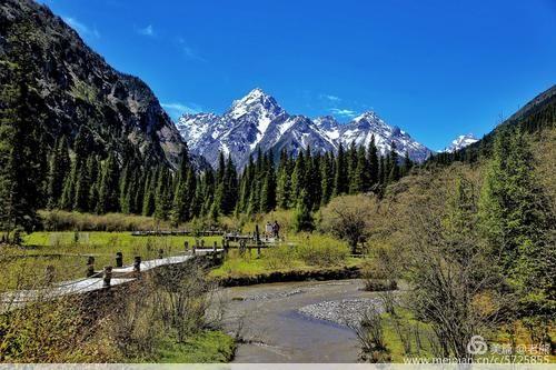 白马王朗风景区白马王朗，国家级保护区，珍稀动植物王国