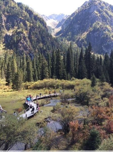 白马王朗风景区白马王朗，国家级保护区，珍稀动植物王国