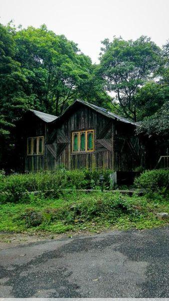 盘龙峡盘龙峡：探秘山顶木屋，感受原始生态