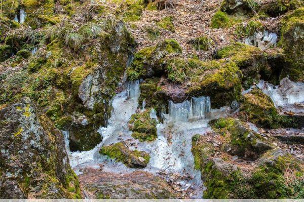 镜泊湖地下森林火山与森林的奇妙结合