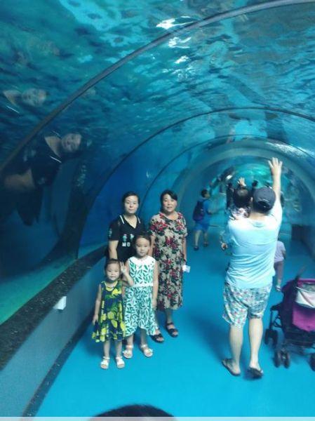 齐河海底世界带孩子去齐河海底世界看海洋生物